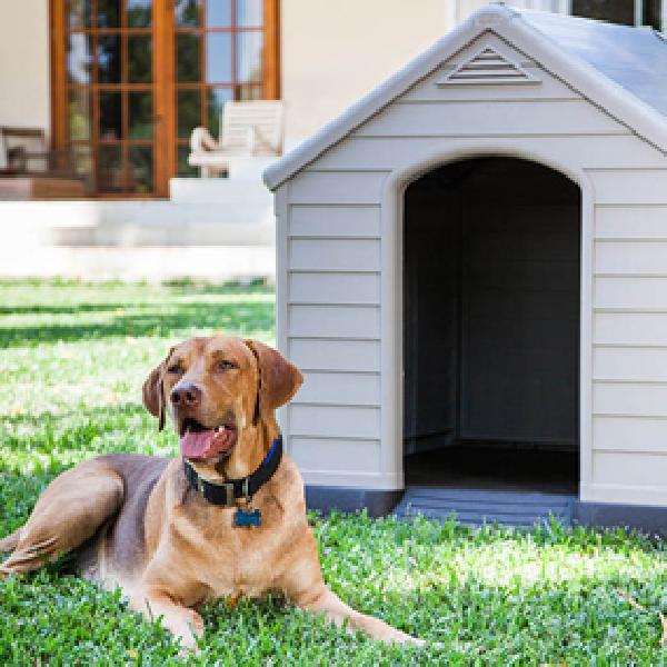 Casetas para perros