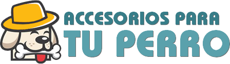 Accesorios para tu perro
